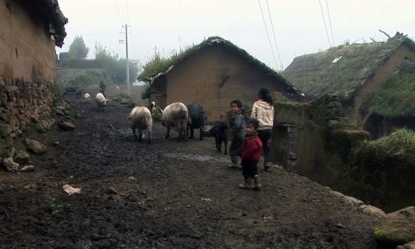 Image du film Les Trois Soeurs du Yunnan