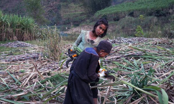 Image du film Ta’ang