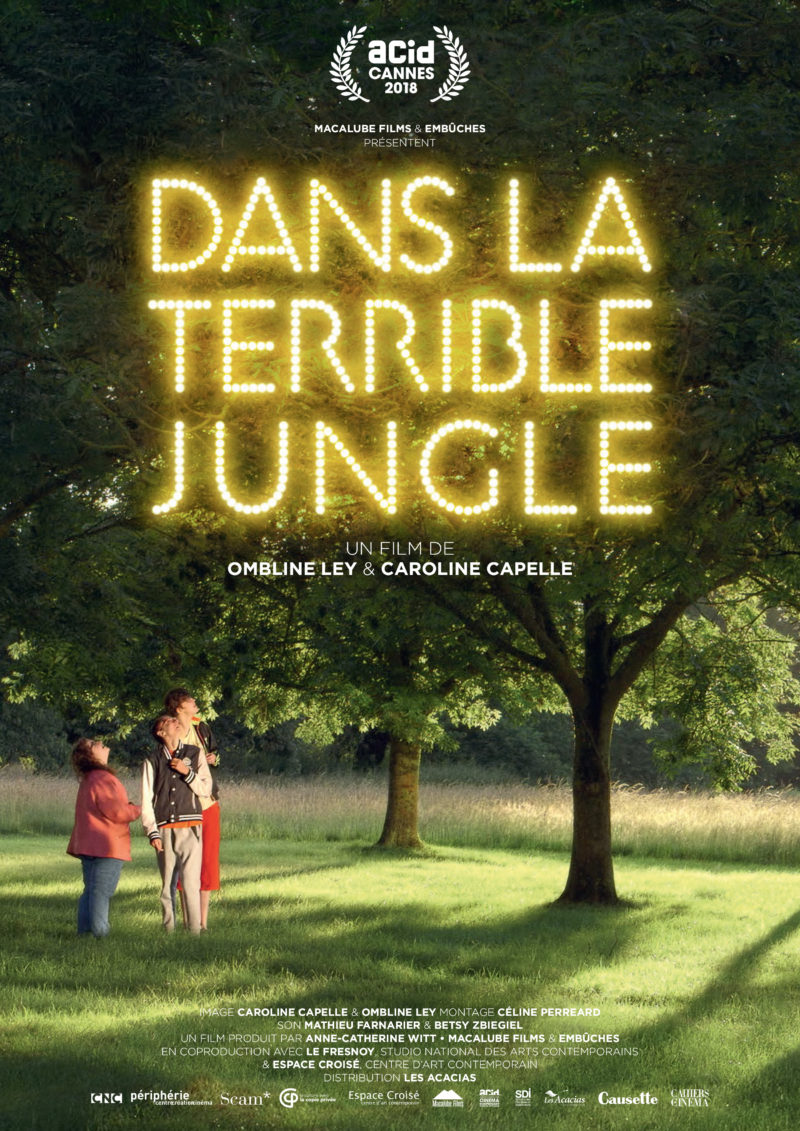 Dans la terrible jungle - Affiche