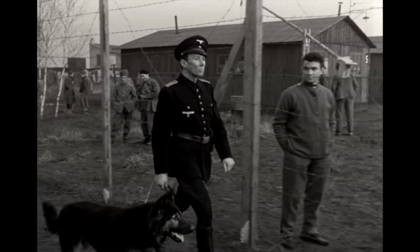 Image du film Les Évadés