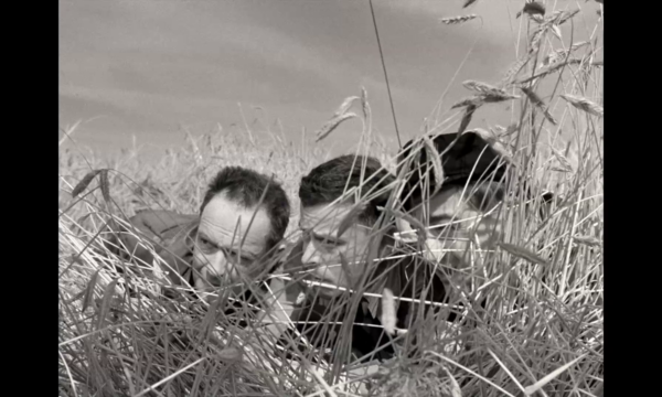 Image du film Les Évadés
