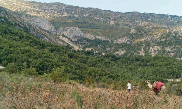 Image du film Là-haut perchés