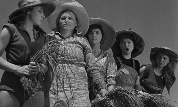 Image du film Riz amer