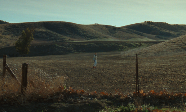 Image du film Safe