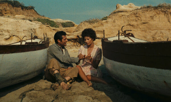 Image du film Les Fleurs du soleil