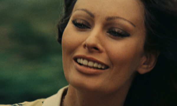 Image du film Les Fleurs du soleil